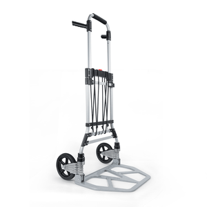 LVYUAN(リョクエン)折りたたみ式 キャリーカート 耐荷重160kg （2輪平地式-銀）