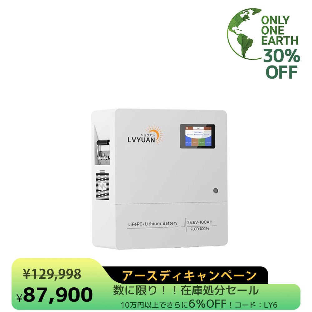 LVYUAN 25.6V/100Ah 2.56kWhリン酸鉄リチウムイオンバッテリー