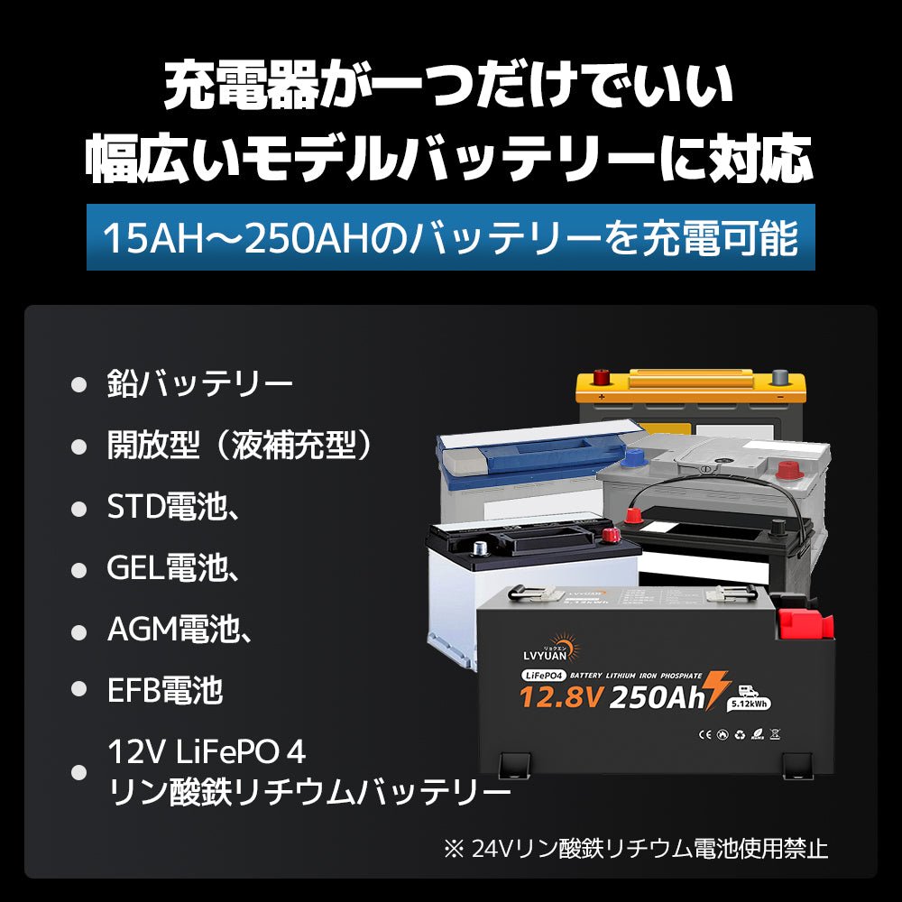 LVYUAN パルスバッテリー充電器 25A 12V・24V鉛蓄 / 12.8Vリチウム電池両用 - LVYUAN（リョクエン）公式ショップ