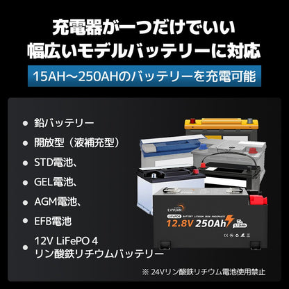LVYUAN パルスバッテリー充電器 25A 12V・24V鉛蓄 / 12.8Vリチウム電池両用 - LVYUAN（リョクエン）公式ショップ
