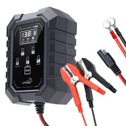 LVYUAN 6V・12Vバッテリー充電器 - LVYUAN（リョクエン）公式ショップ