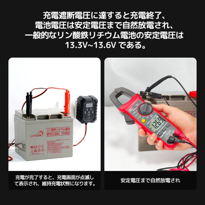 LVYUAN 6V・12Vバッテリー充電器 - LVYUAN（リョクエン）公式ショップ