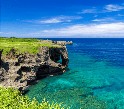 地域別荷物追加送料および差額交換専用 - LVYUAN（リョクエン）公式ショップ