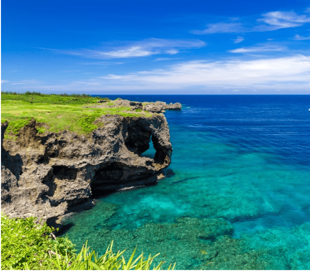 地域別荷物追加送料および差額交換専用 - LVYUAN（リョクエン）公式ショップ