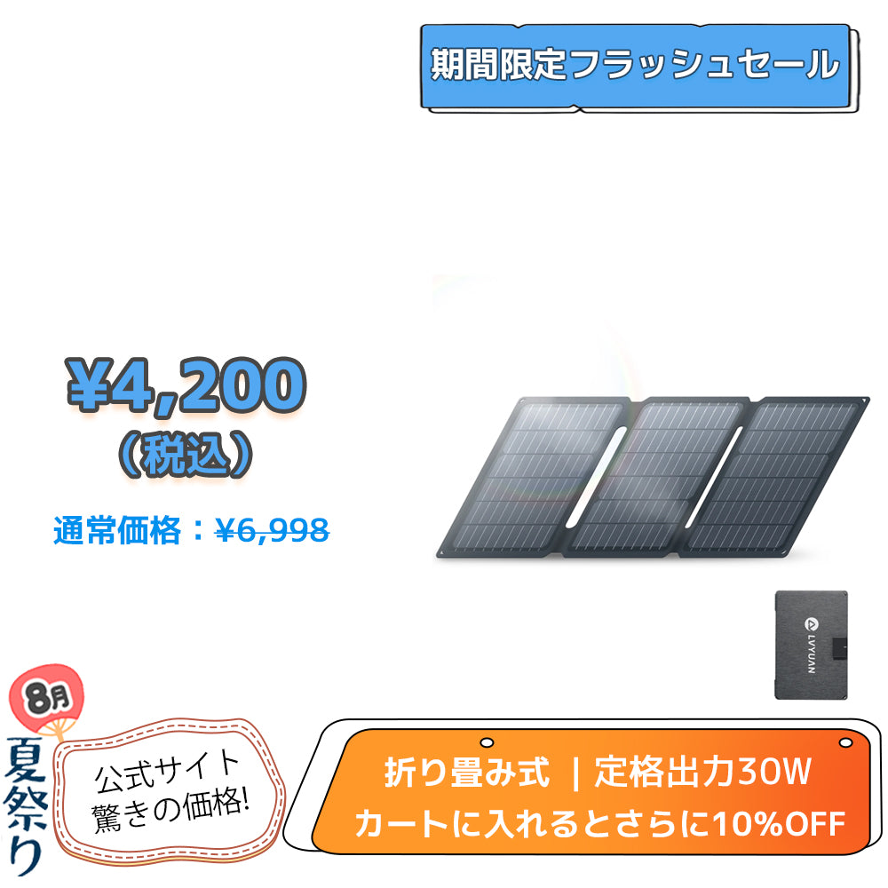 LVYUAN(リョクエン)30W 折り畳み式 ソーラーパネル