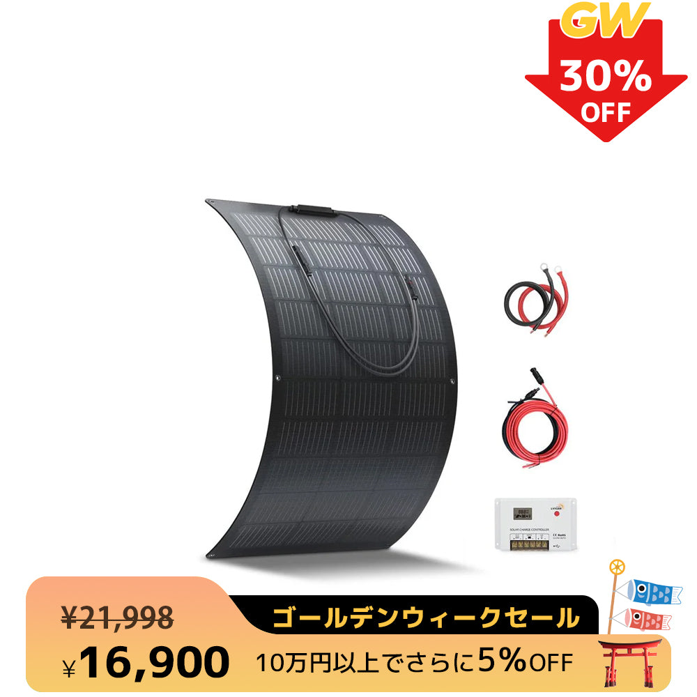 LVYUAN 100W フレキシブルソーラーパネル発電キット