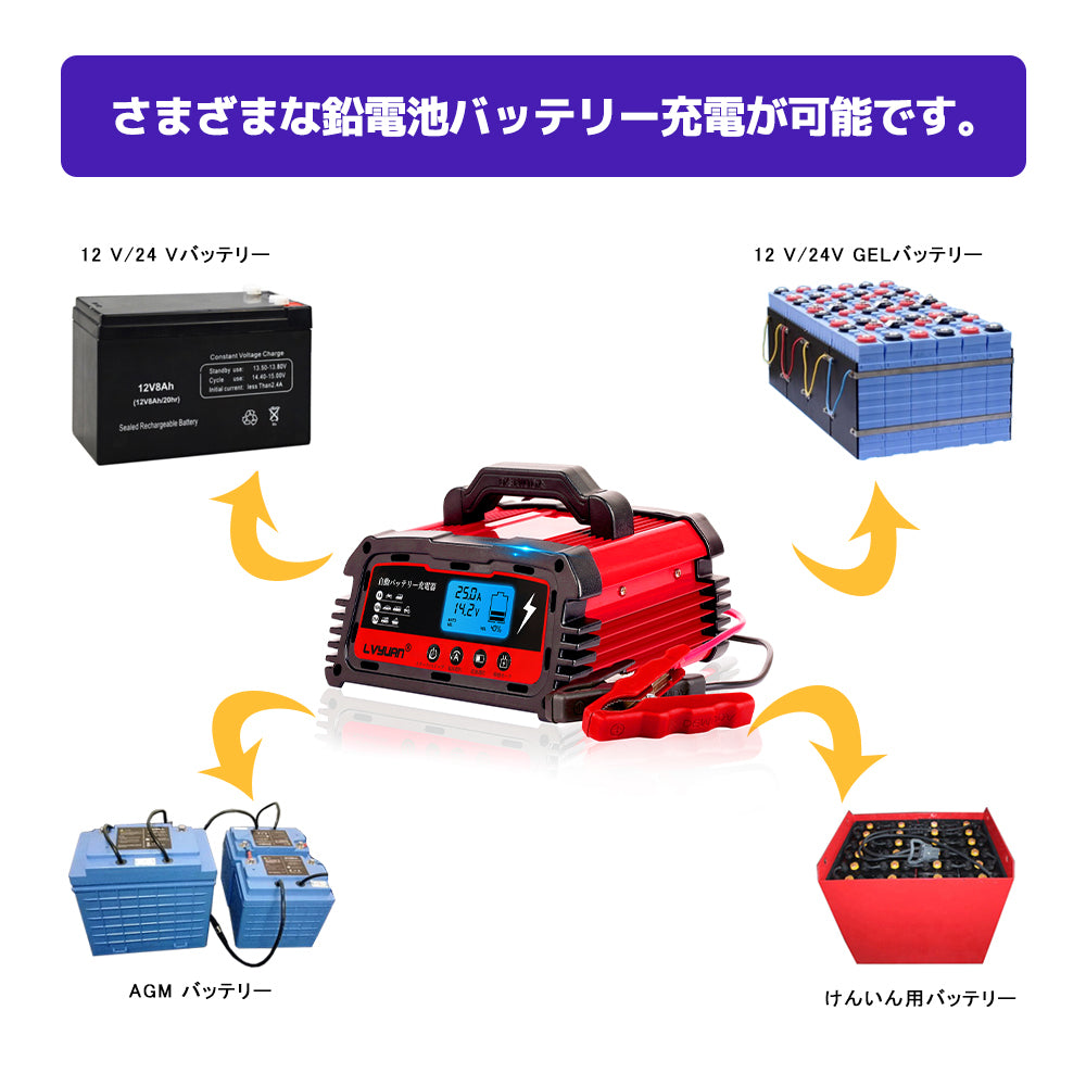 LVYUAN 25Aバッテリーパルス充電器 12V/24V対応 - LVYUAN（リョクエン 