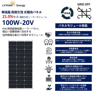 LVYUAN 100W ソーラーパネル 2枚（200W）+20A PWMチャージコントローラー セット