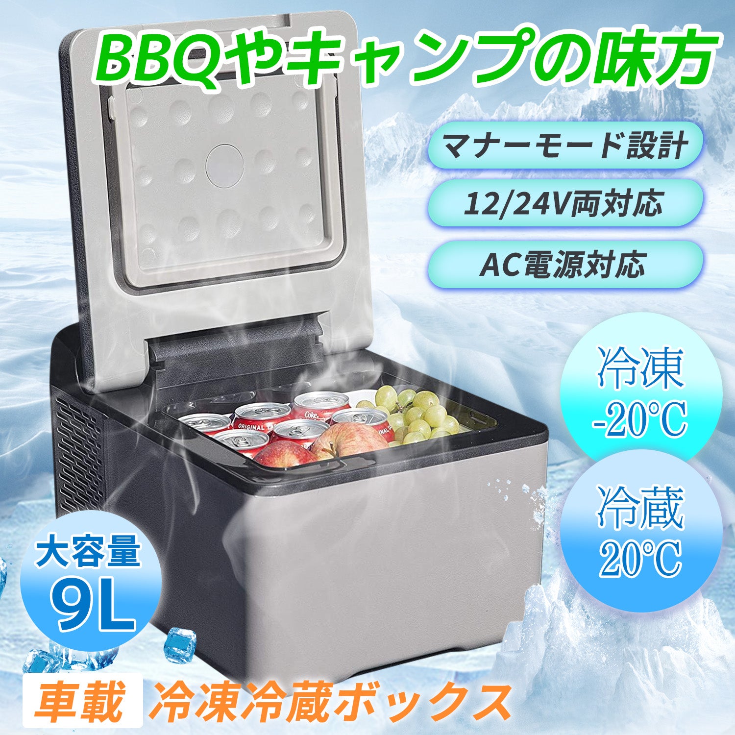 2022?新作】 PORTABLE COOLER BOX 9L 車載用冷蔵冷凍庫 VS-CB009